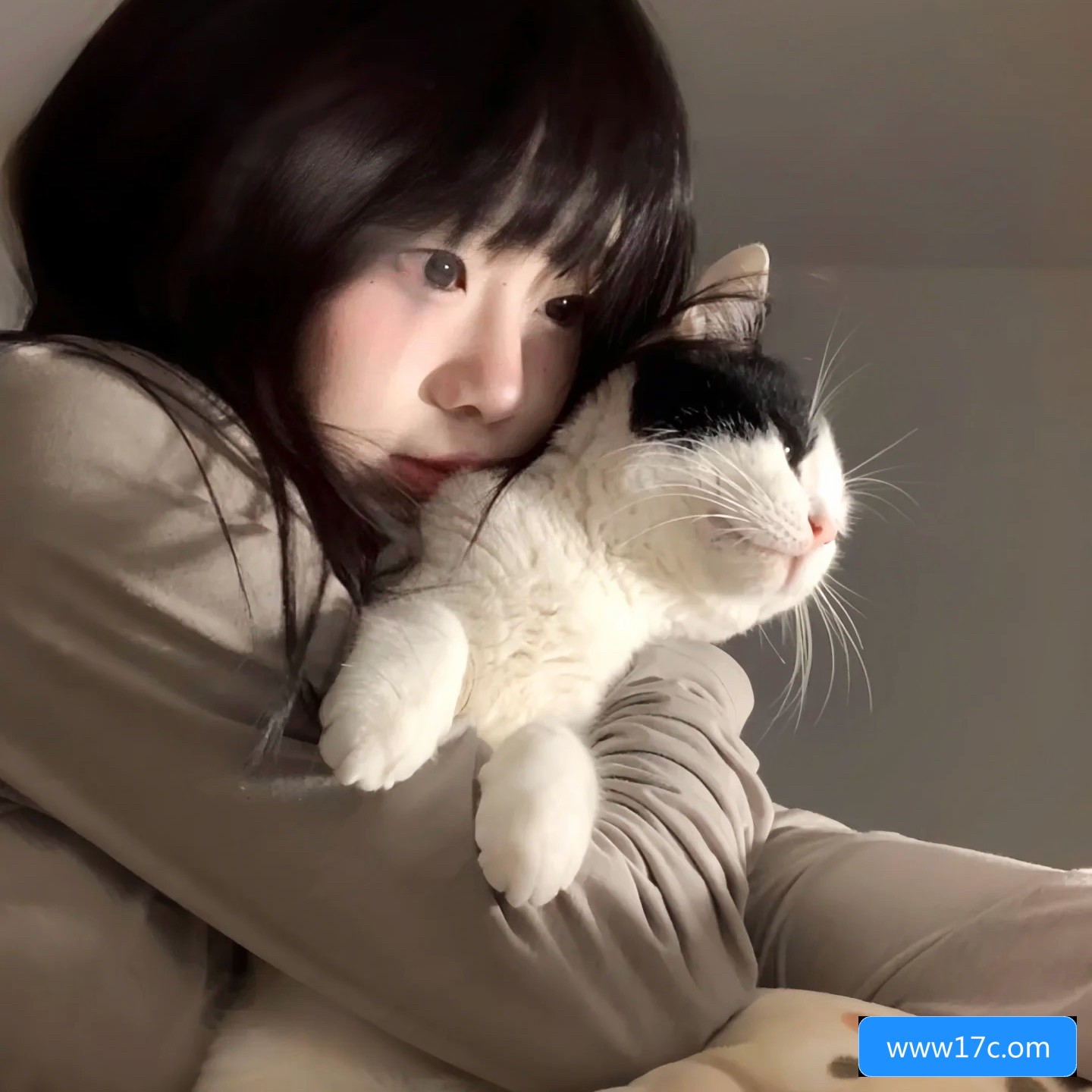 关于www17c.om网站的安全性和使用注意事项有哪些值得关注的地方