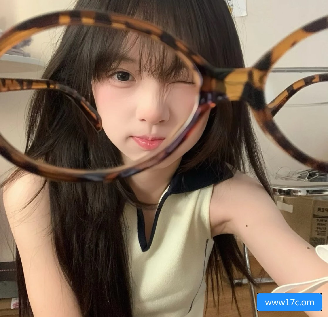 关于www17c.起草网站的用途与使用方法解析